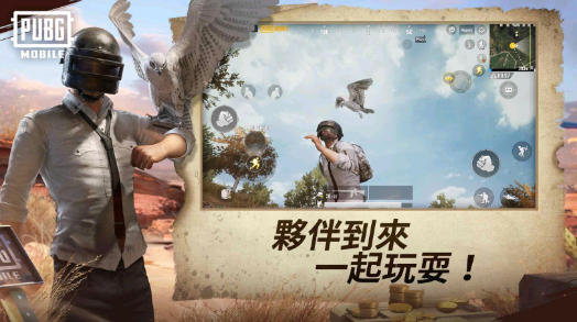 绝地求生低配版