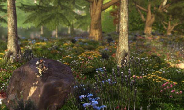 wilderless