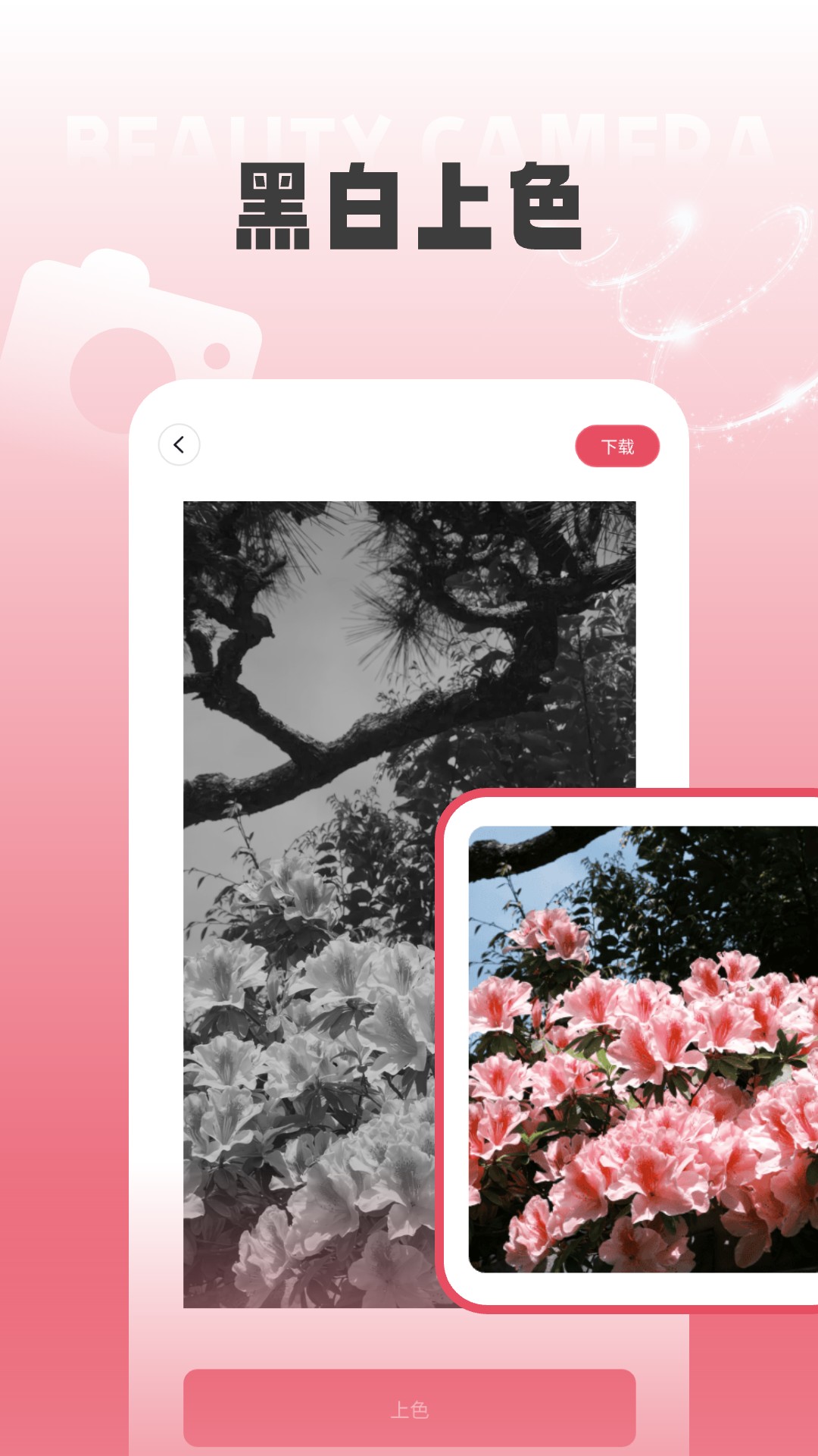 调色Lr滤镜