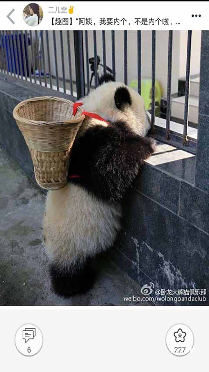 柚次元动漫
