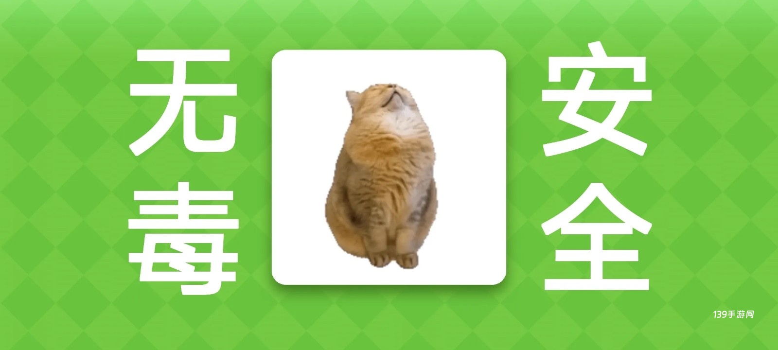 女巫的毒药猫Meme版