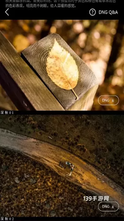 Koloro滤镜大师调色最新版_https://www.139sy.com_摄影图像_第3张