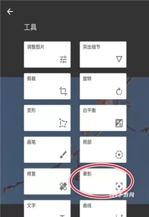 Snapseed小叶子_https://www.139sy.com_摄影图像_第2张