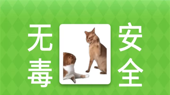 女巫的毒药猫Meme版_休闲益智_第3张_139手游网 女巫的毒药猫Meme版_https://www.139sy.com_休闲益智_第3张