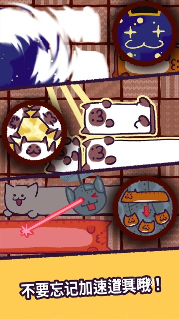 猫咪滑块