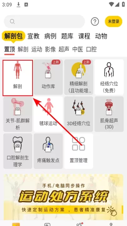 3Dbody_https://www.139sy.com_学习办公_第1张