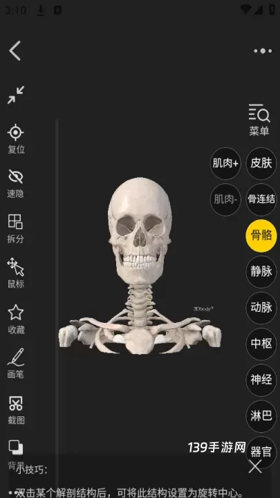 3Dbody_https://www.139sy.com_学习办公_第3张