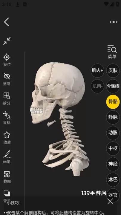 3Dbody_https://www.139sy.com_学习办公_第4张